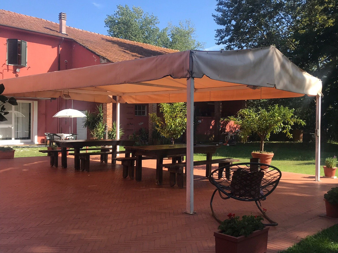 Fattoria Battilana主图