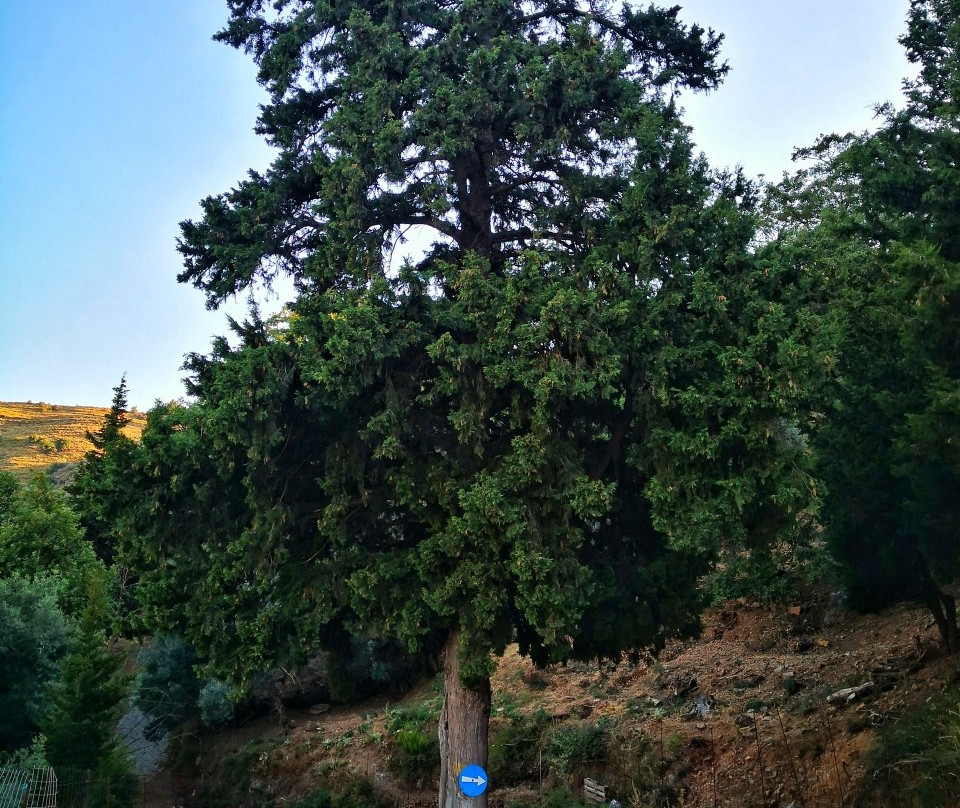 Gorges of Theriso景点图片