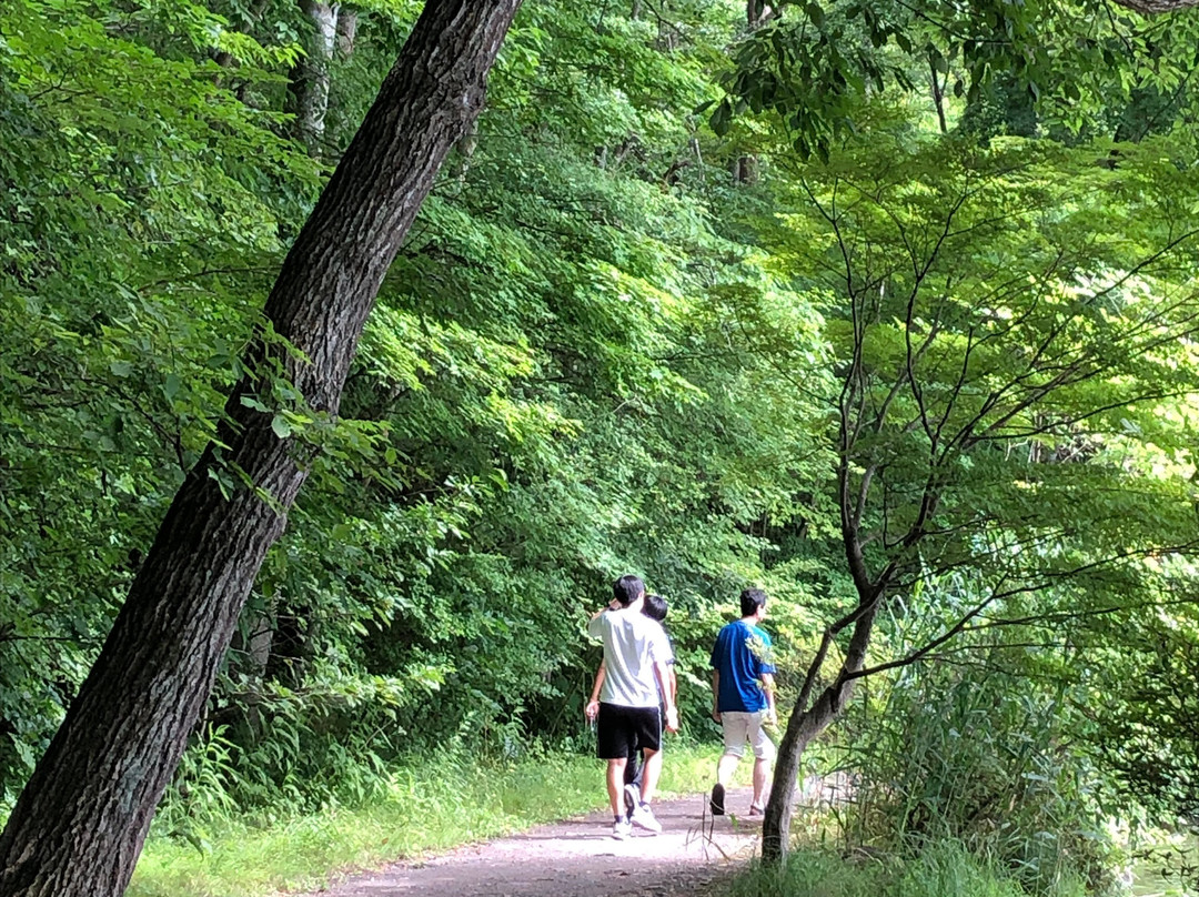 Karuizawa Taliesin景点图片