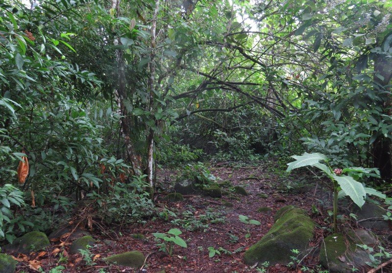 Talari Mountain Lodge主图