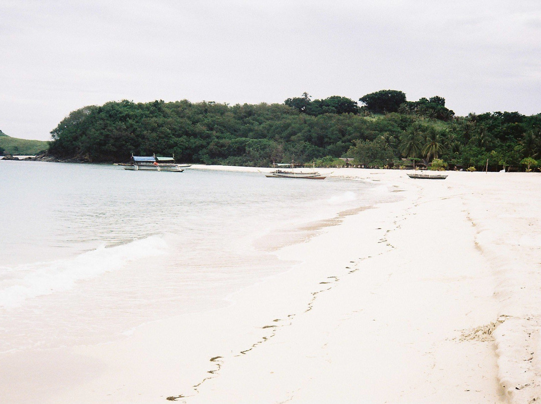 Waling Waling Eco Village主图