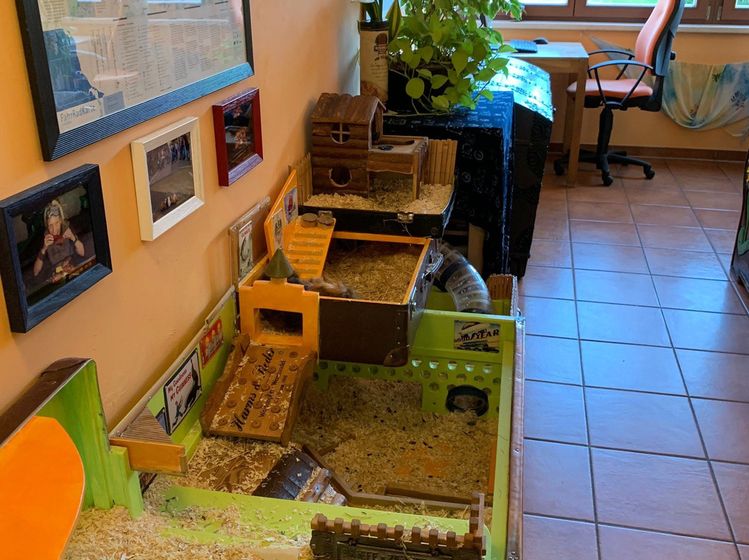 格瑞芬奈斯特酒店主图