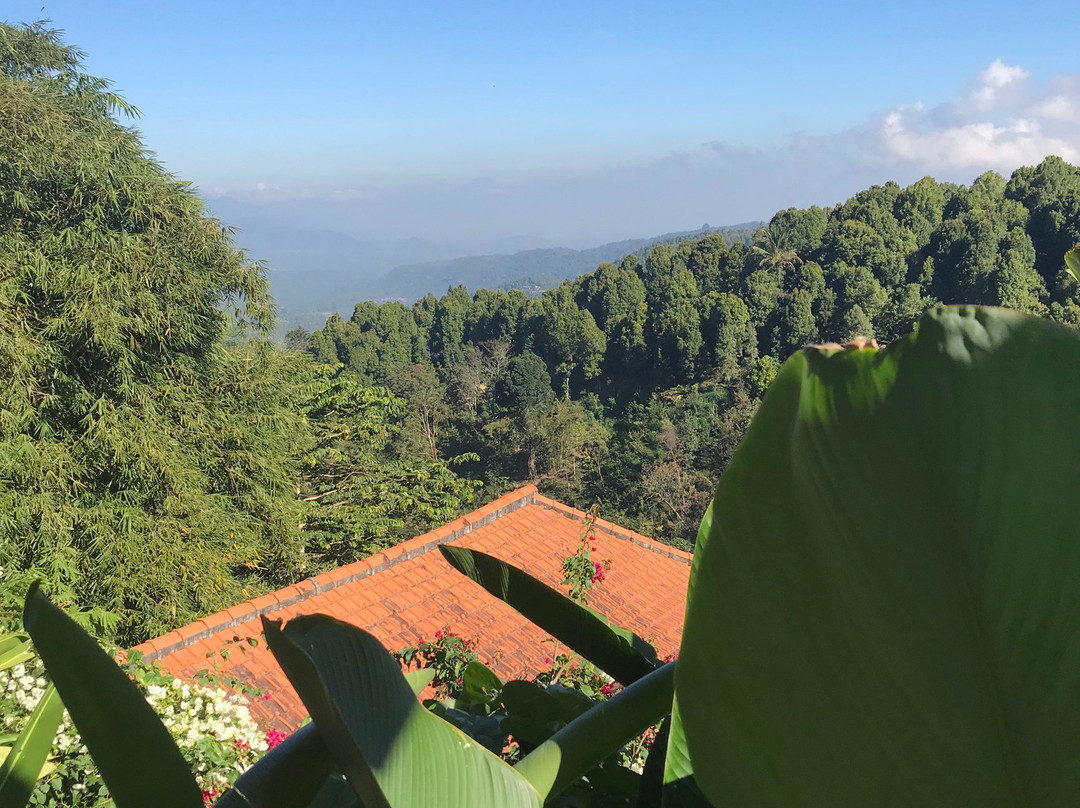 Melanting Cottages & Restaurant主图