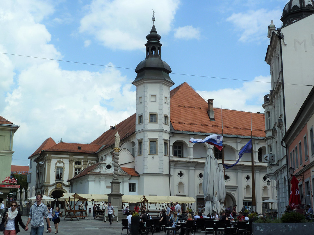 Maribor Castle景点图片