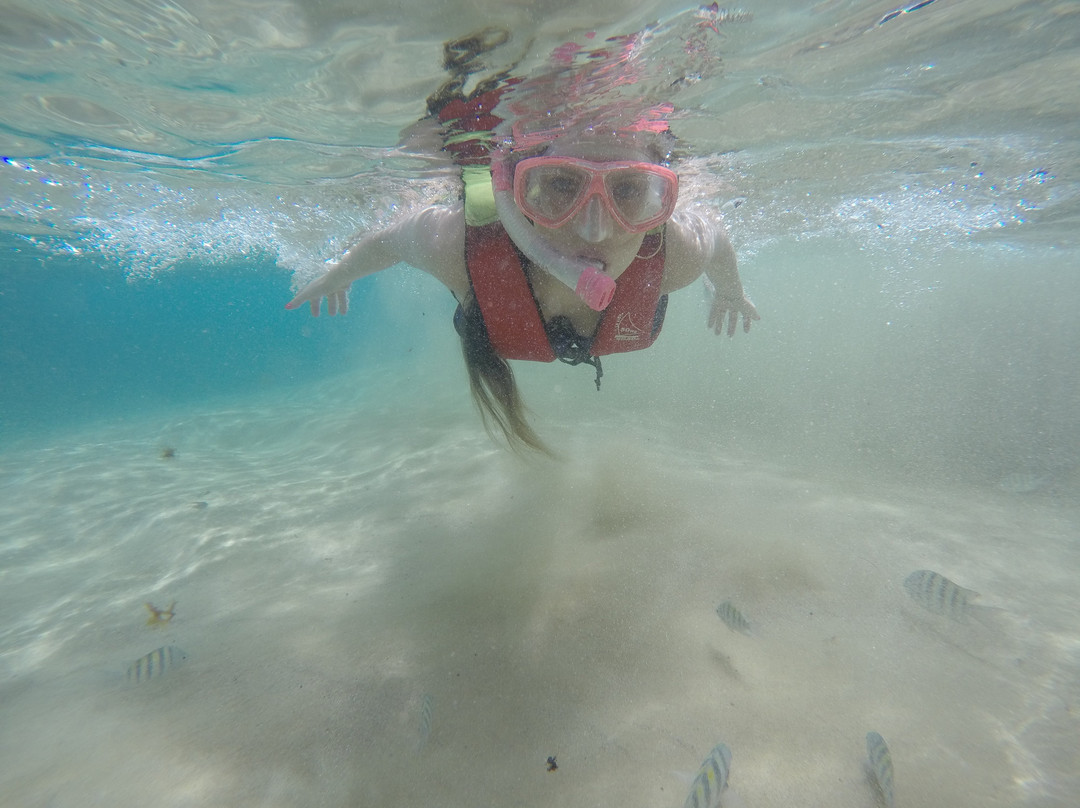 Noronha Tour-费尔南多-迪诺罗尼亚群岛必去景点