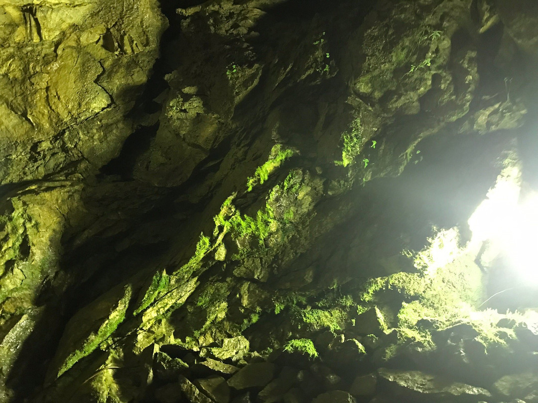Otaki Limestone Cave-郡上市必去景点