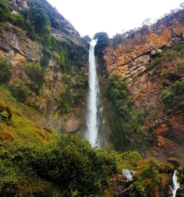 Parque Municipal do Itiquira-Formosa必去景点