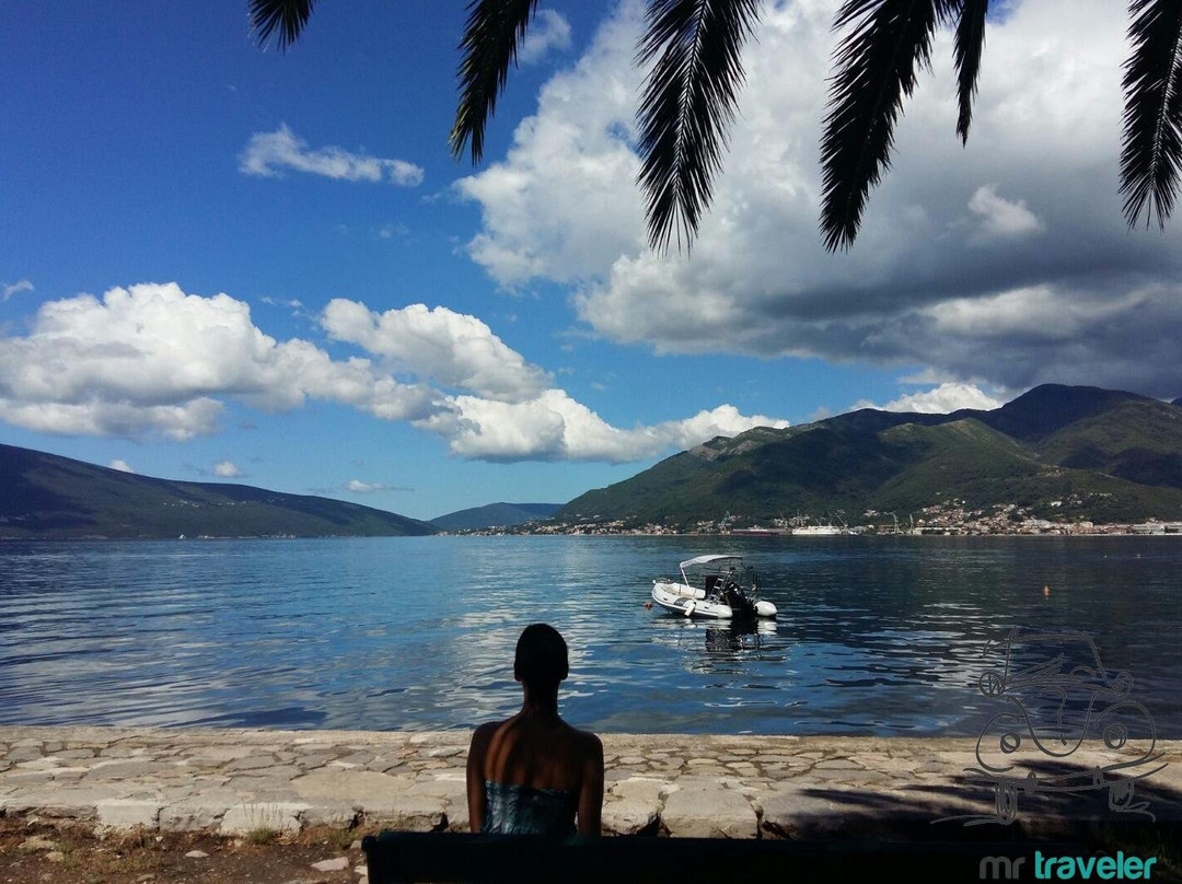 MR.Traveler ;   >>> www.guided-tours.me <<<-科托尔必去景点