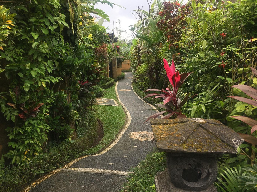 Bali Dream Resort & Spa, Ubud主图