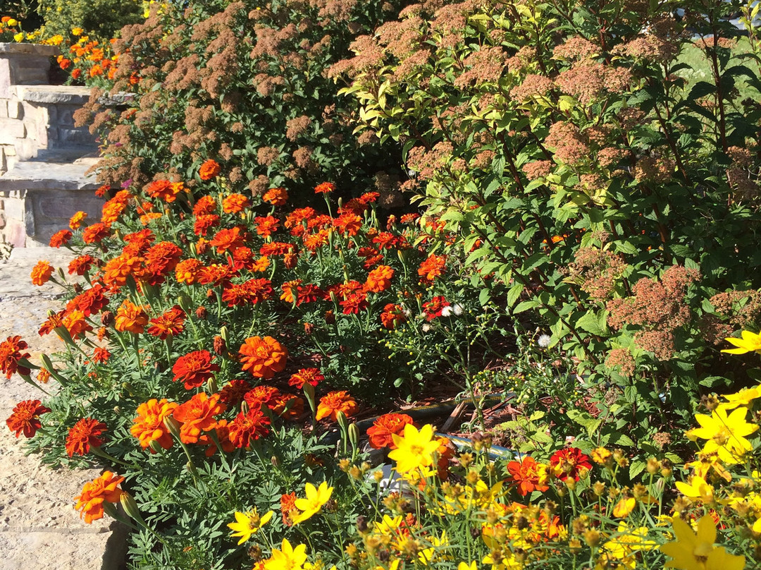 Lady on the Lake Bed & Breakfast LLC主图