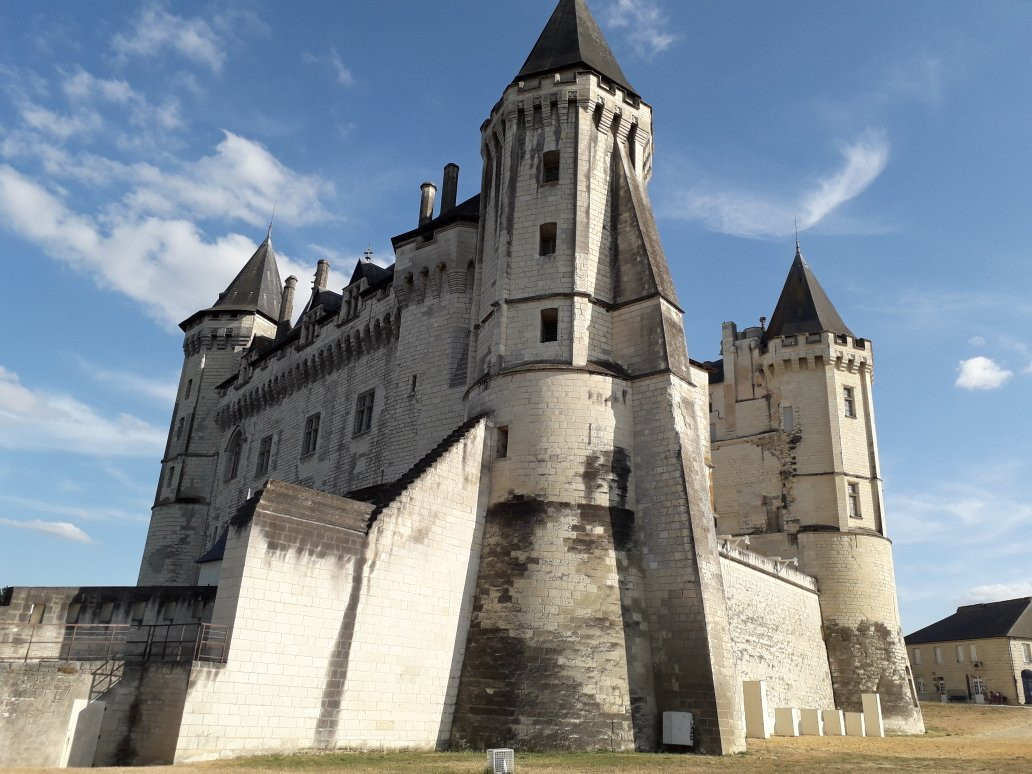 Chateau de Saumur景点图片