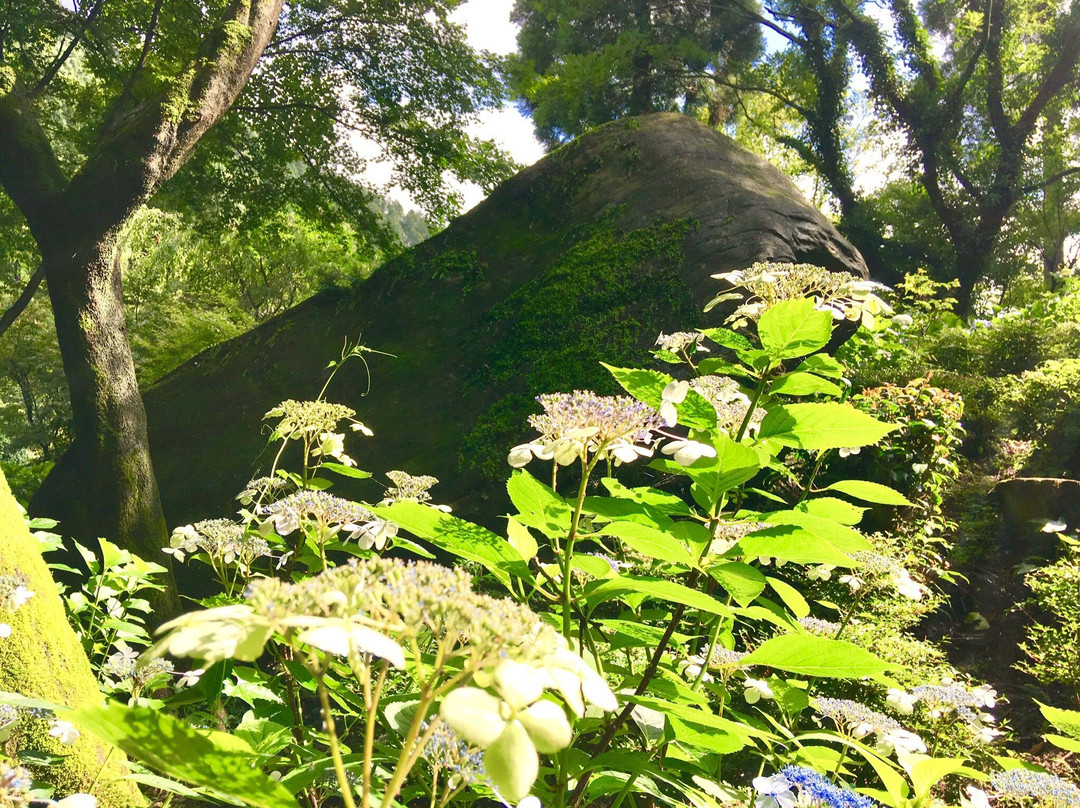 Shinonome no Sato-出水市必去景点