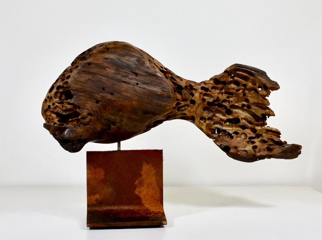 Sandphifer Gallery景点图片