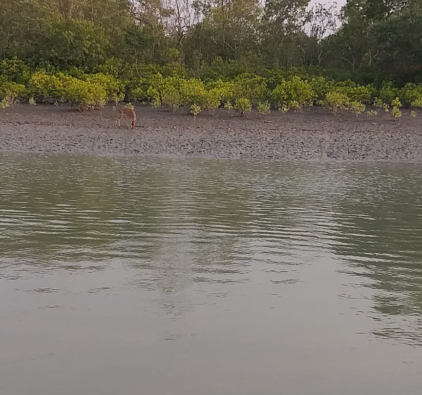 Sundarban Tour And Travels-Gosaba必去景点