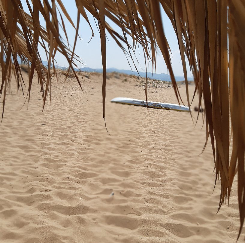 Seagull Beach Bar-Zacharo必去景点