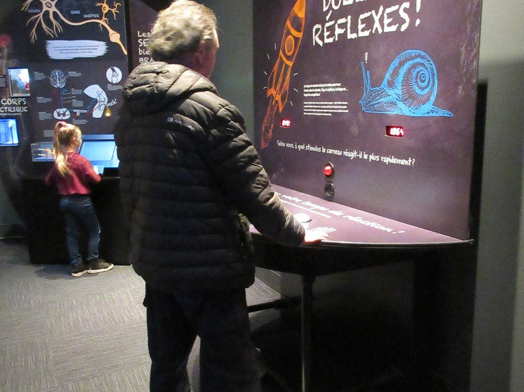 Hydro-Québec - Électrium-Sainte-Julie必去景点