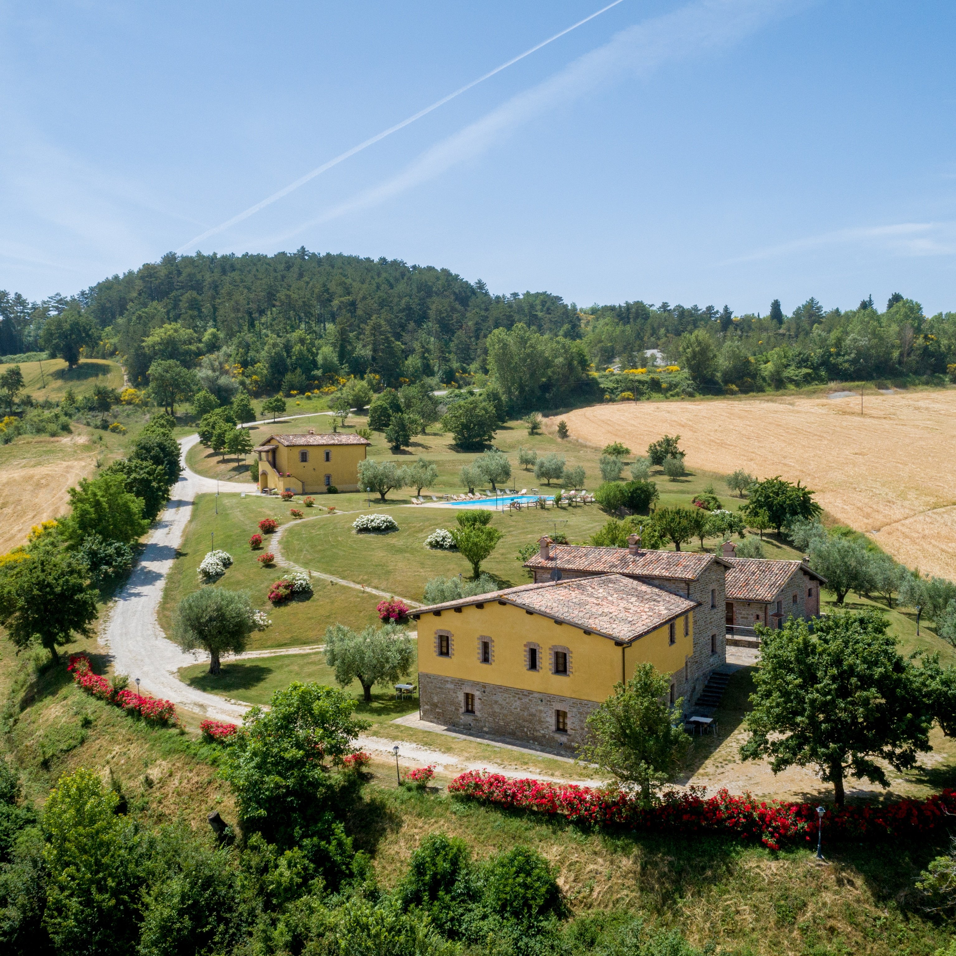 Tenuta di Biscina-官方