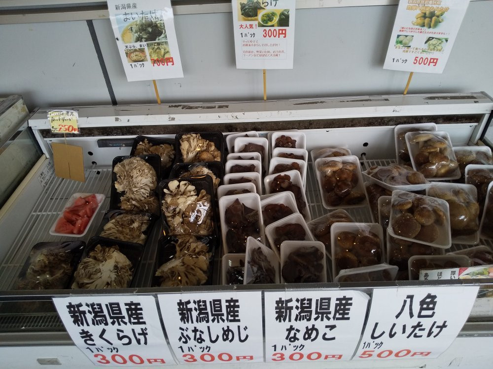 Yunotani Michi-no-Eki Miyuki no Sato-鱼沼市必去景点