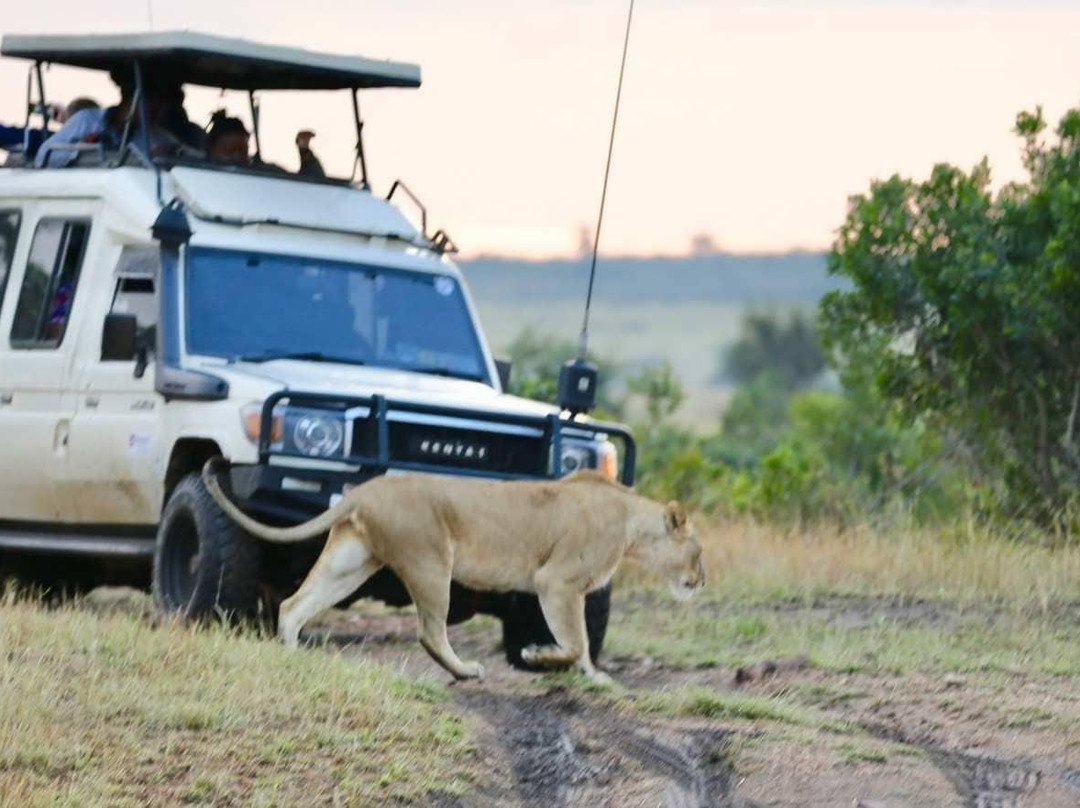 Africa Royal Trekking-纳特龙湖必去景点