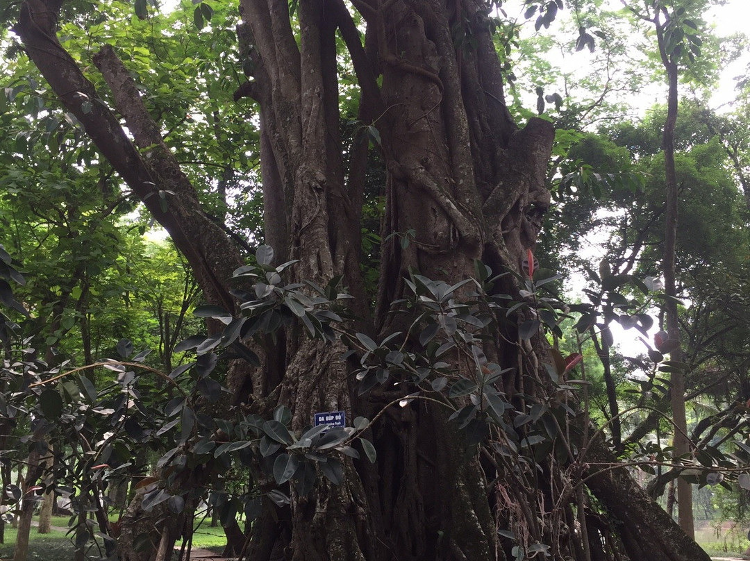 植物园景点图片