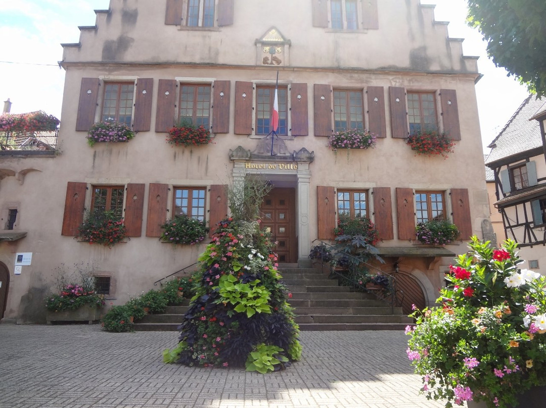 Hôtel de Ville-Dambach-la-Ville必去景点
