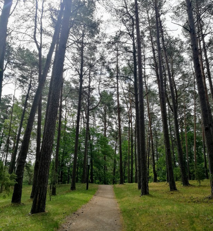 K.Dineika Wellness Park-德鲁斯基宁凯必去景点