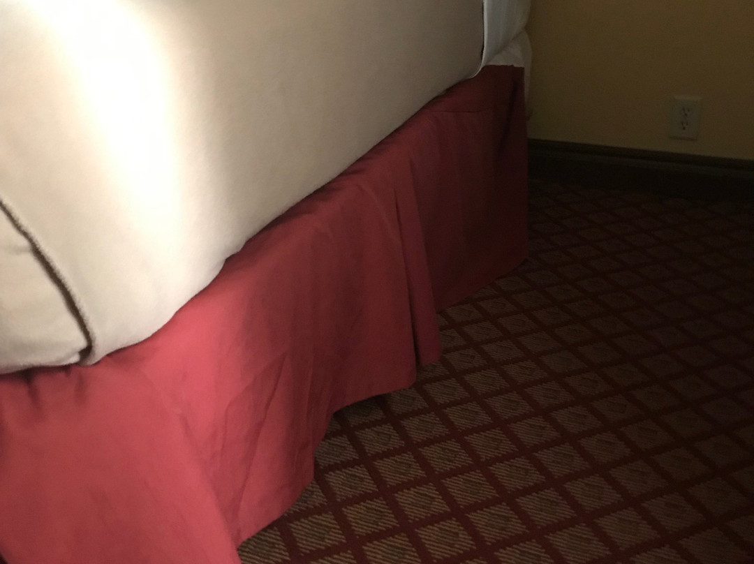 斯特尔沃特广场酒店主图