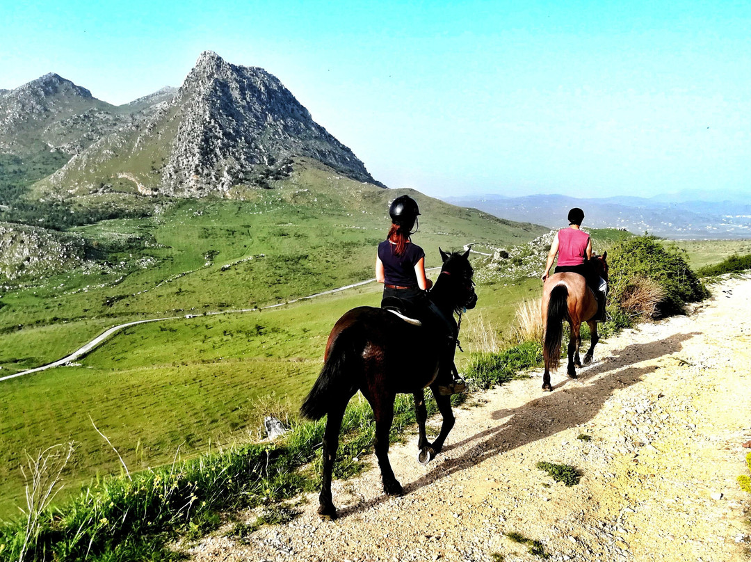 Horse Trekking Sicily景点图片