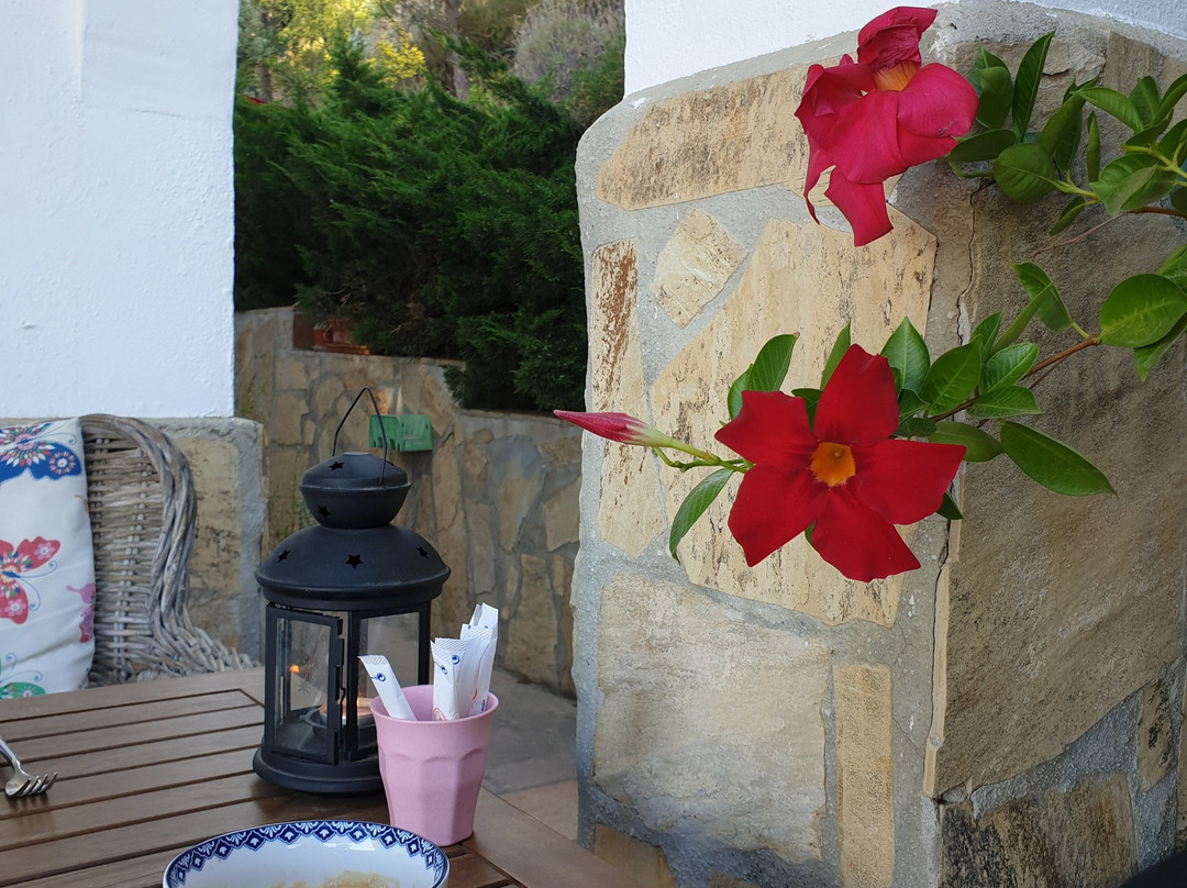 El Nispero Dulce主图