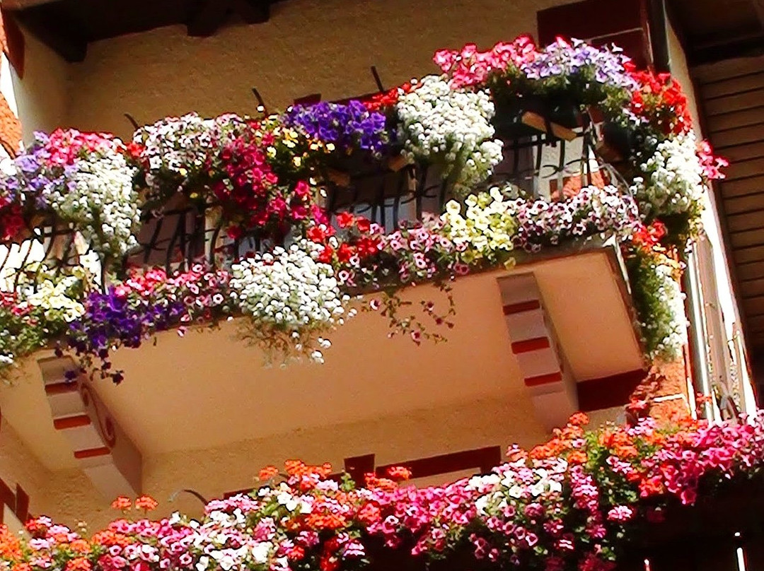 Centro Storico di Santa Cristina Valgardena景点图片