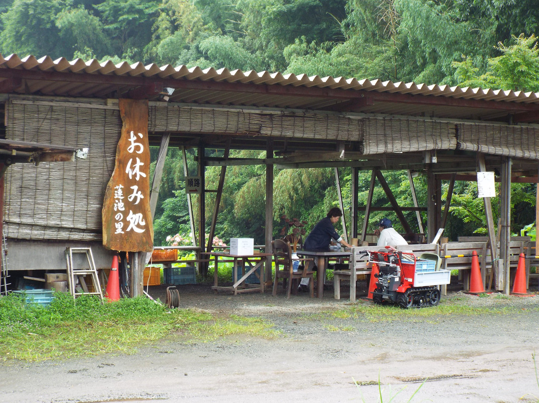 Nakai Hasuike no Sato景点图片