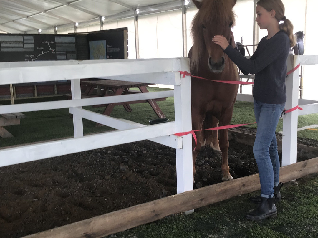 Heimavöllur Hestsins-霍尔斯沃德吕尔镇必去景点