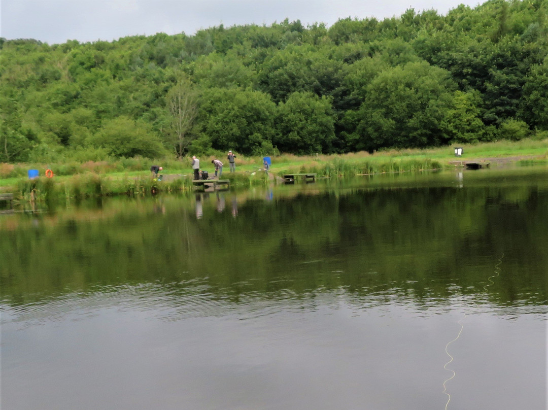 Balmule Fishery-丹弗姆林必去景点