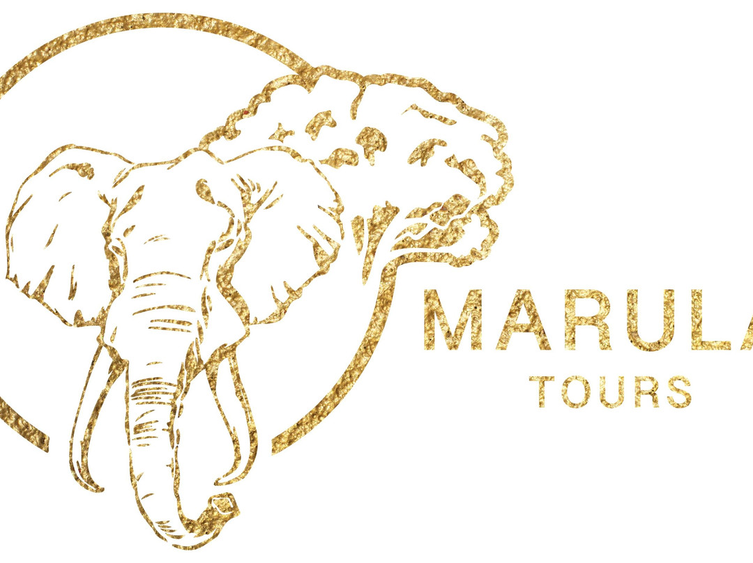 Marula Tours景点图片