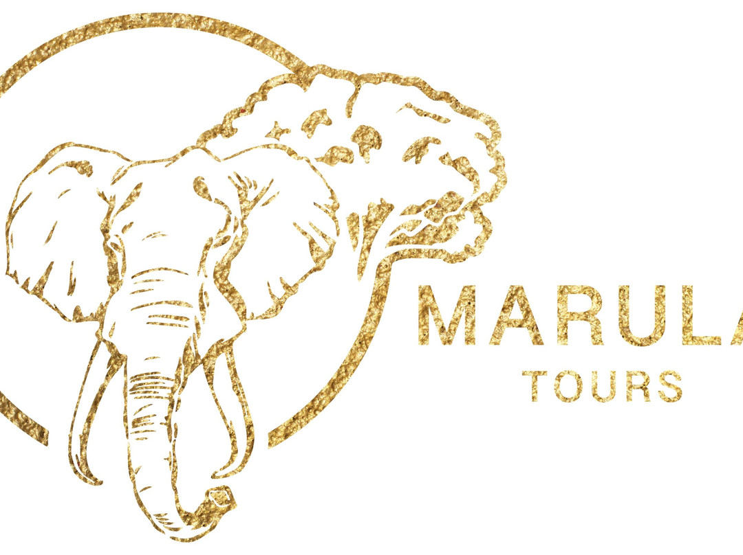 Marula Tours-开普敦中心区必去景点