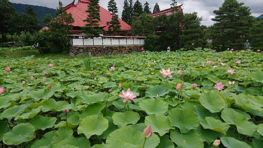 Tosen-ji Temple-木岛平村必去景点