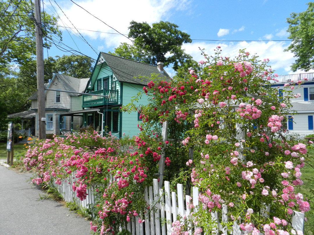 Martha’s Vineyard Transportation Authority景点图片