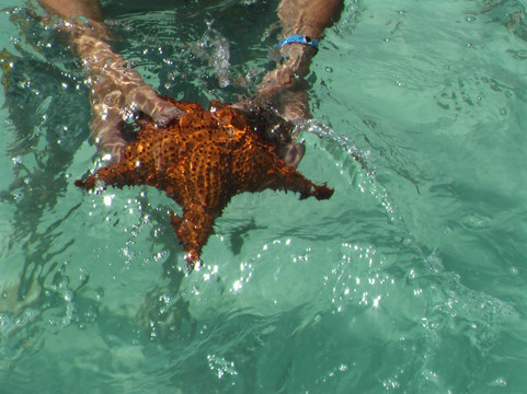 National Park of the East-La Altagracia Province必去景点