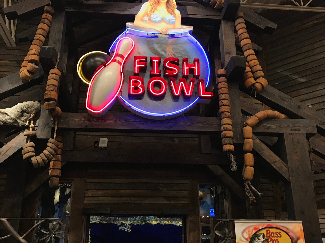 Uncle Buck's Fish Bowl and Grill-布里斯托尔必去景点