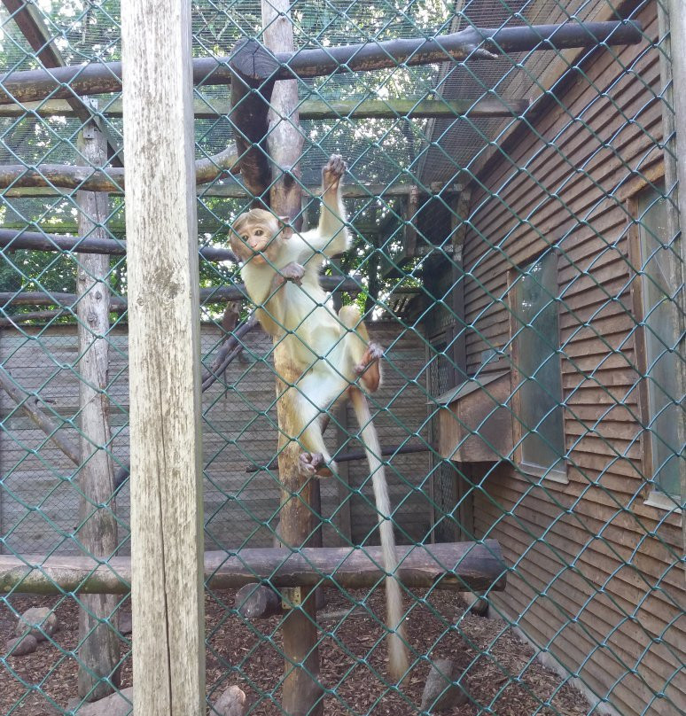 Skaerup Zoo-Skaerup必去景点