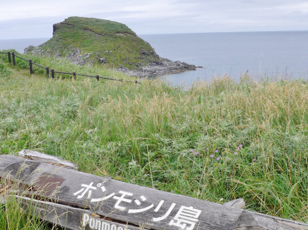 Ponshimori Beach-利尻富士町必去景点