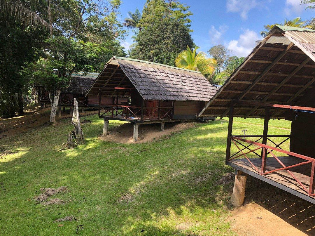 Awarradam Jungle Lodge主图