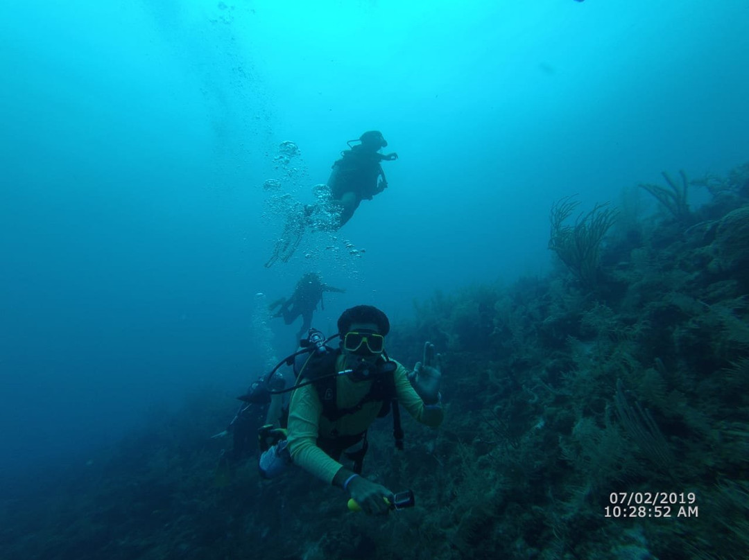 Sirius Hotel & Dive Center主图