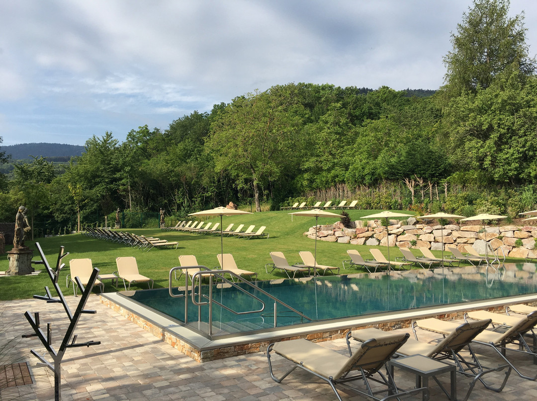Hostellerie des Chateaux & Spa主图