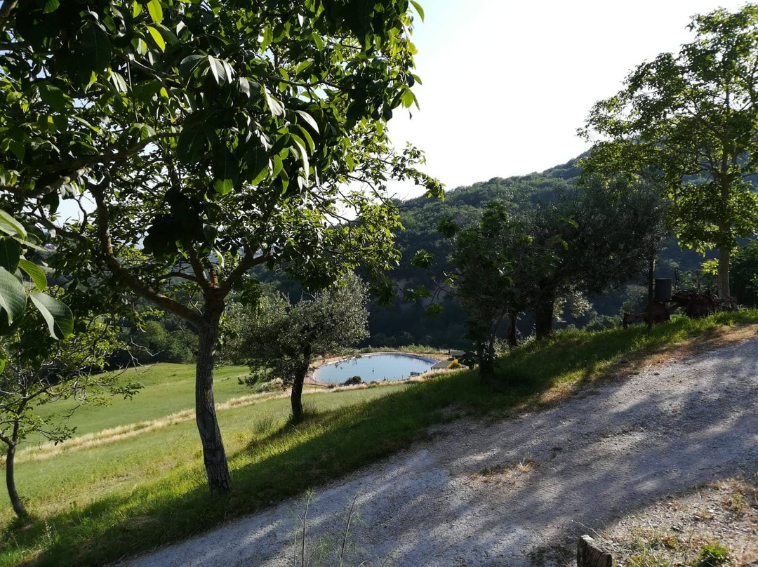 Agriturismo Colle Pu主图