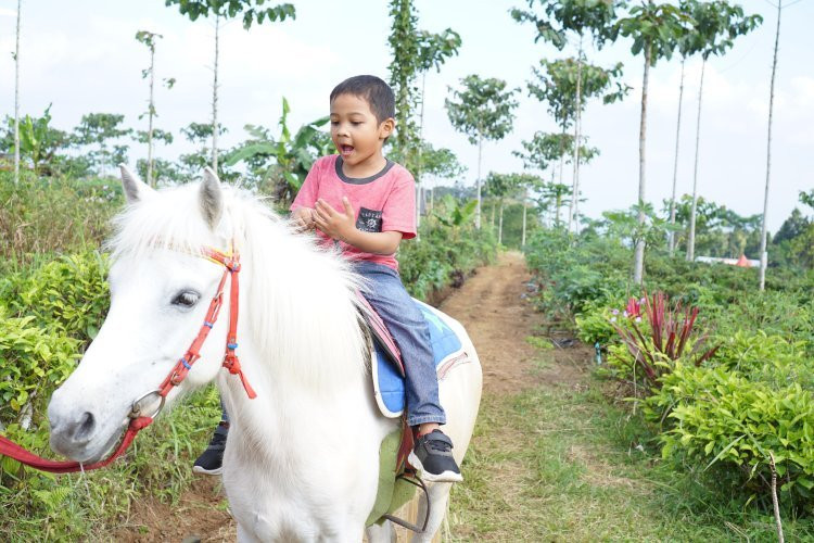 Agro Tourism Lembah Asri Serang-Serang必去景点