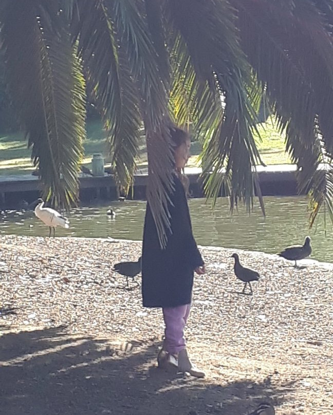 Western Sydney Parklands景点图片