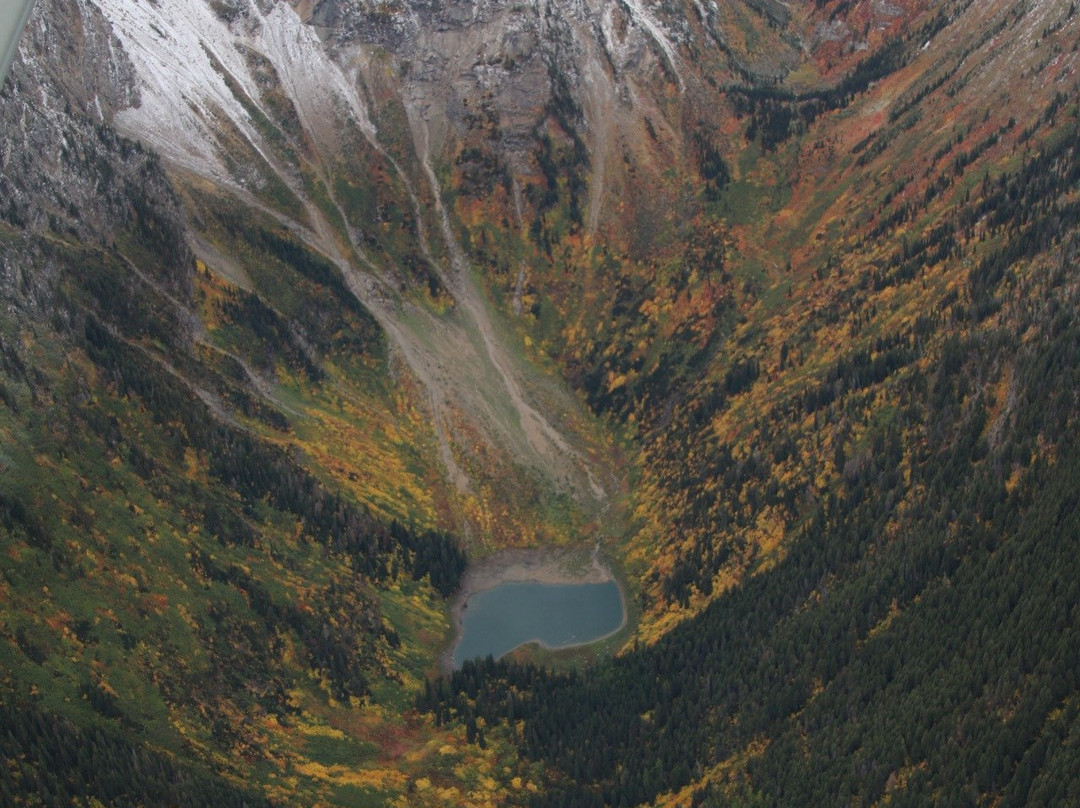 Backcountry Flying Experience景点图片
