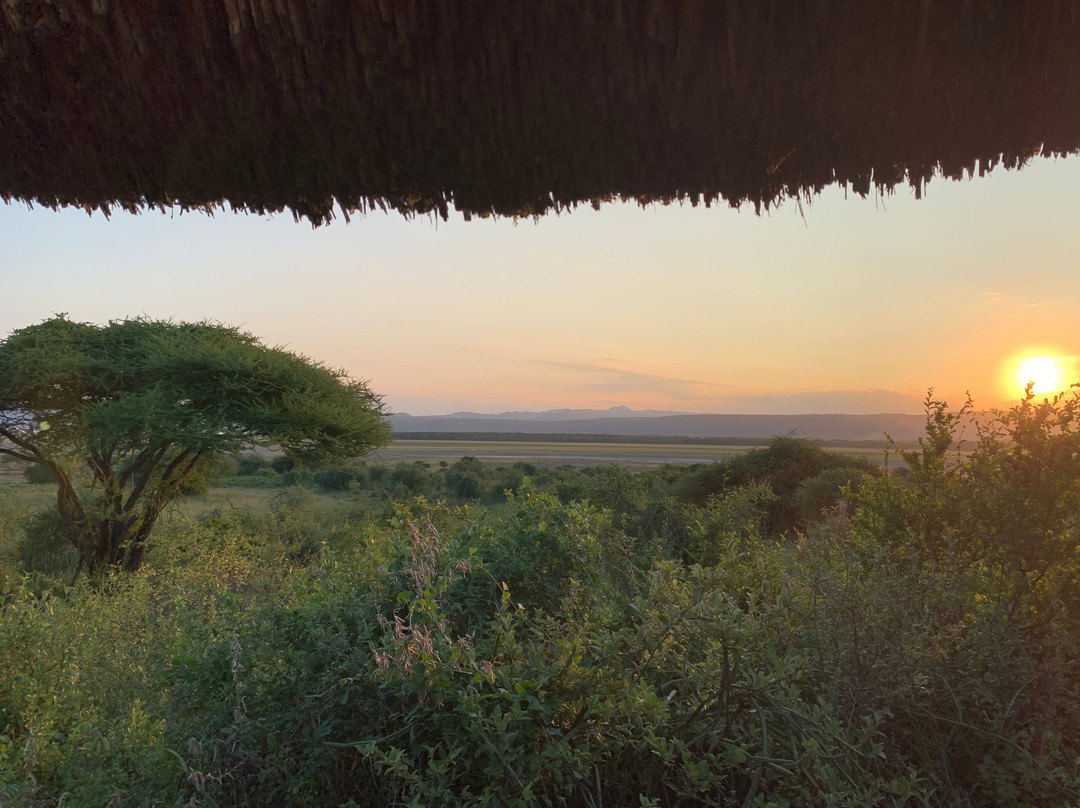 Manyara Lakeview Oasis主图