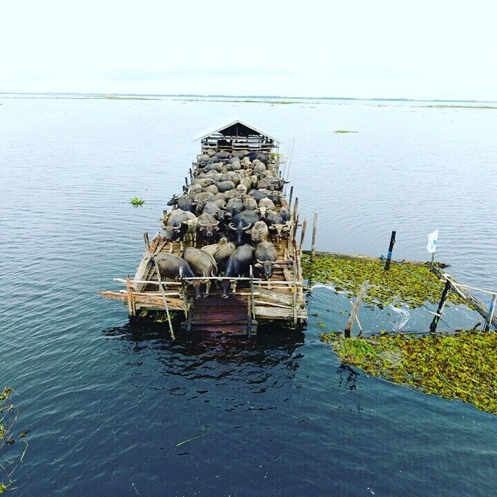 South Kalimantan旅游攻略图片